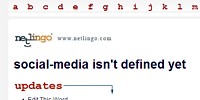 Netlingo Is that a definition or a very accurate comment?
